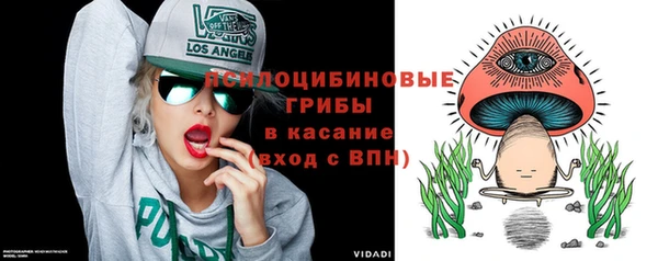 a pvp Новозыбков