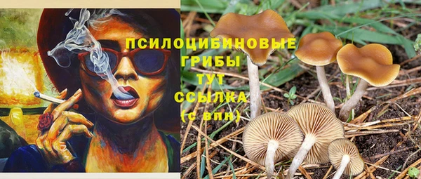 a pvp Новозыбков