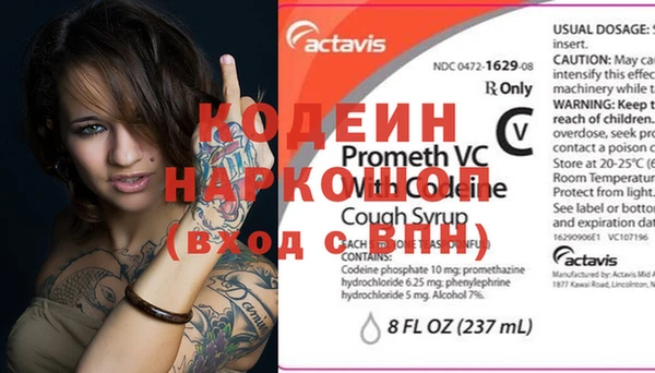 стаф Новокубанск