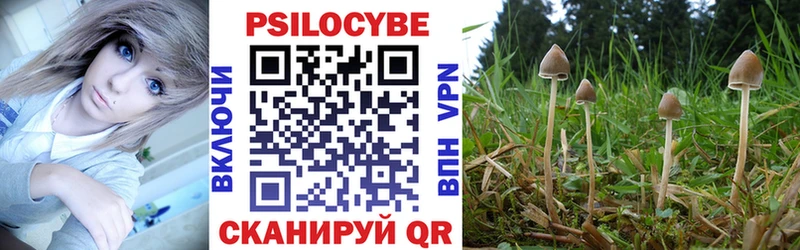 Псилоцибиновые грибы прущие грибы  Кстово 
