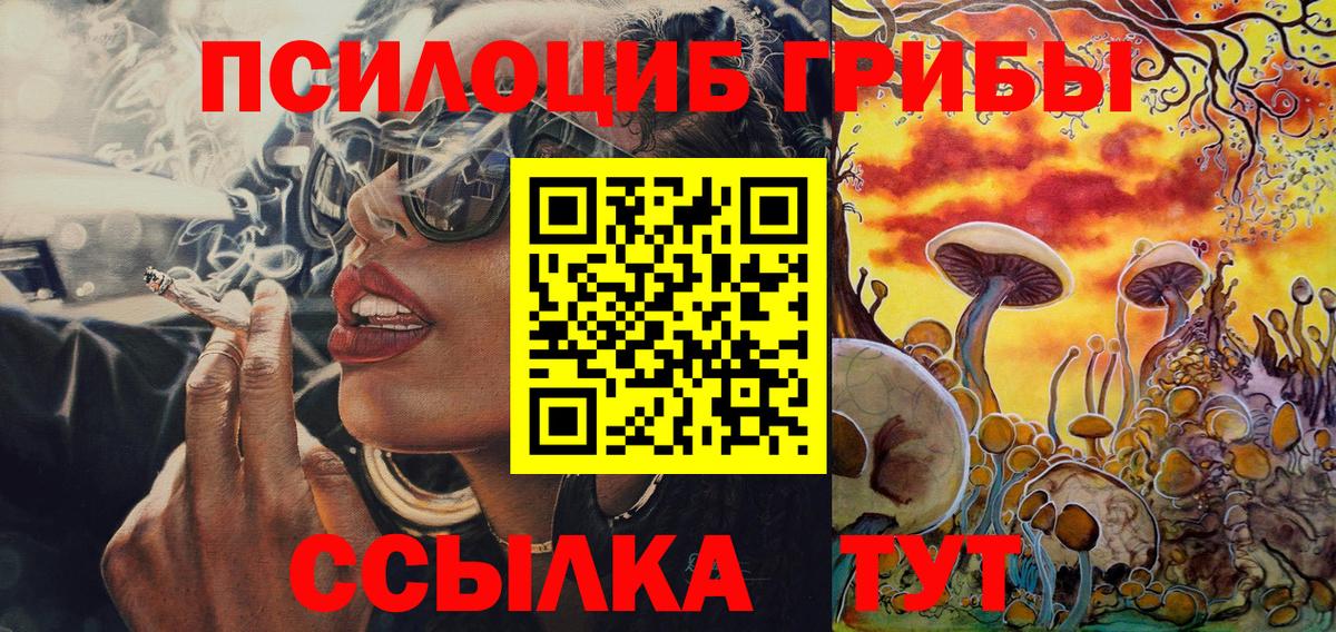 Галлюциногенные грибы Psilocybine cubensis Кстово