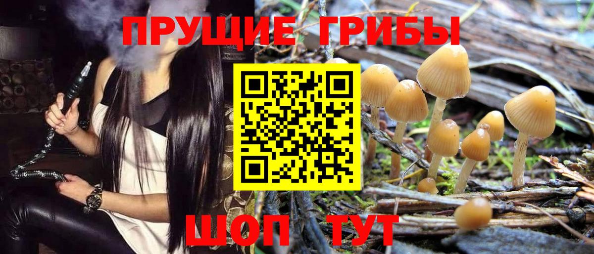 Галлюциногенные грибы мухоморы  Вход с VPN  цена   Кстово 